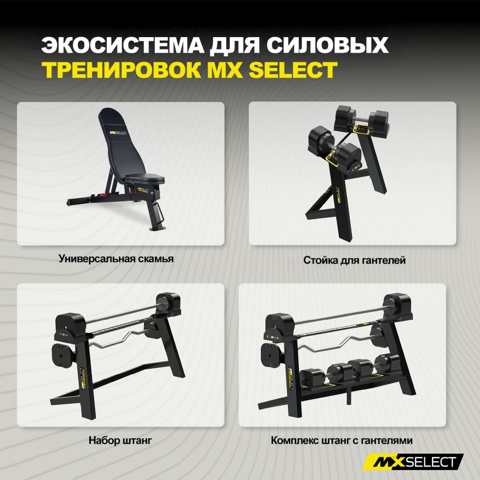 Веса дополнительные для гантелей MX Select MX55 и MX100, 0.57 кг, 4 шт. с держателем